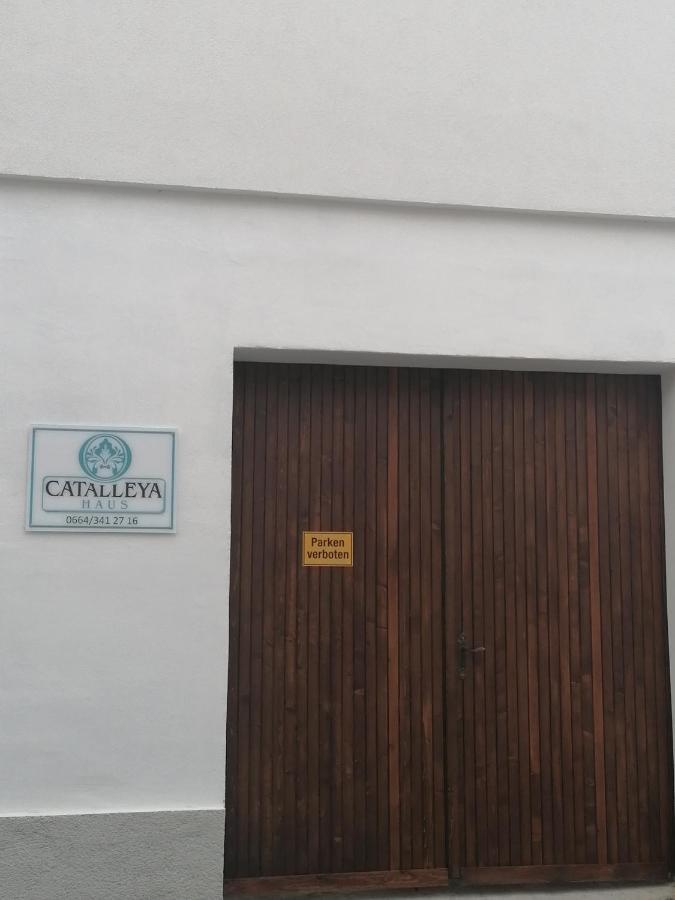 Catalleya Haus Лангенлоис Екстериор снимка