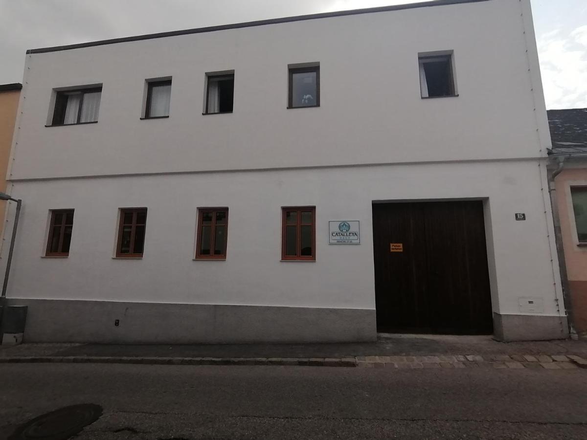 Catalleya Haus Лангенлоис Екстериор снимка